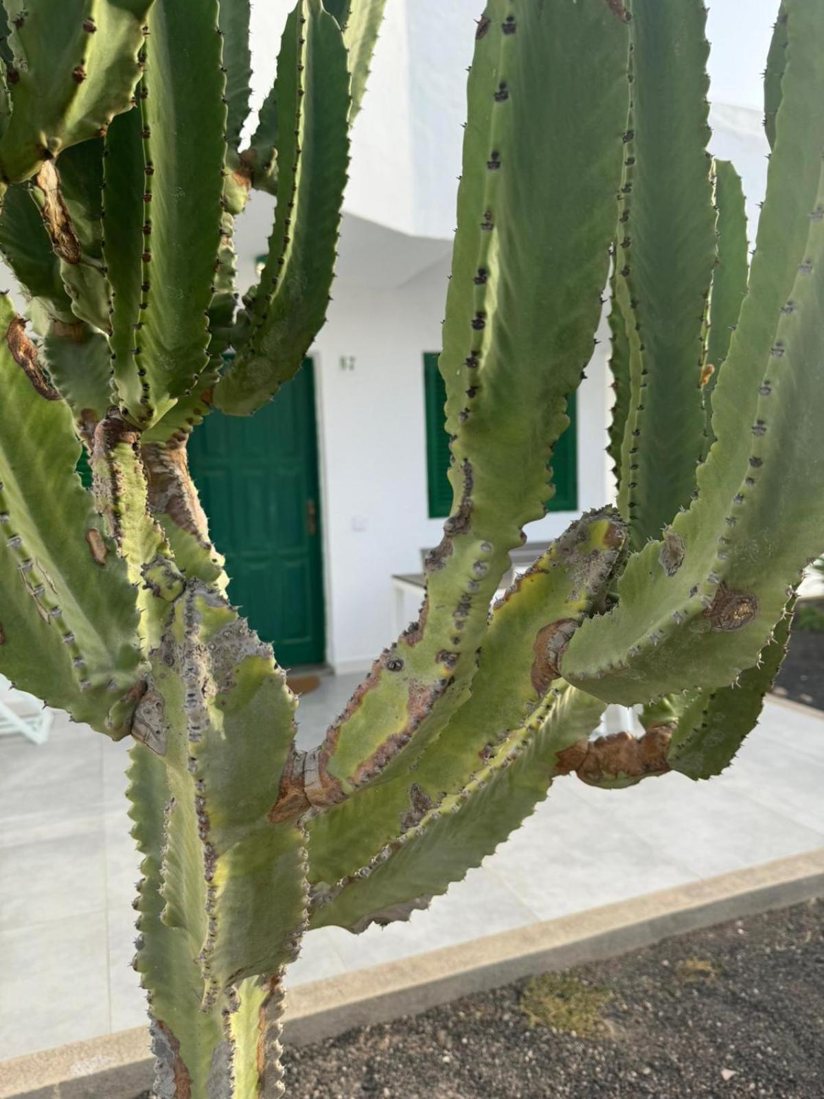 Cotillo 외부 사진